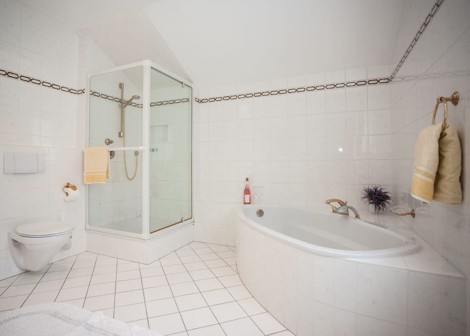 Hair dryer, towels, toilet paper