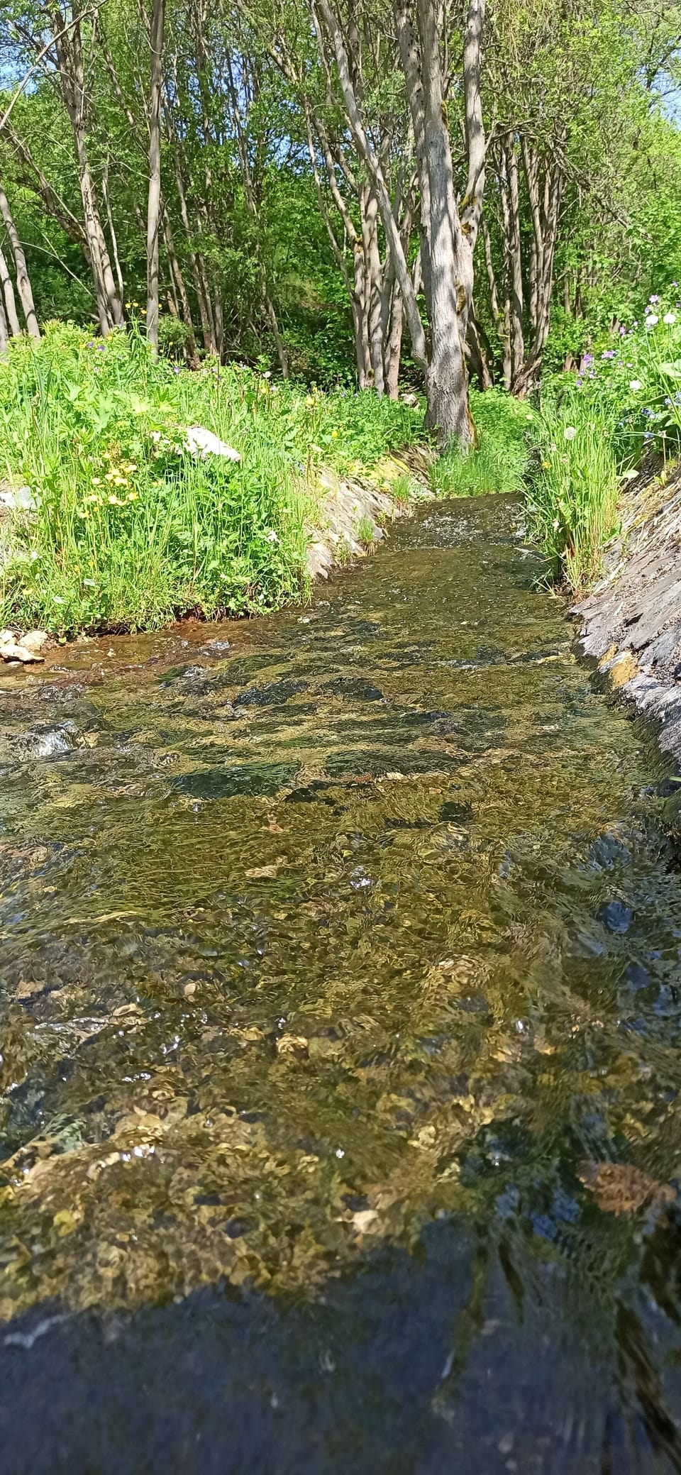 Hiking