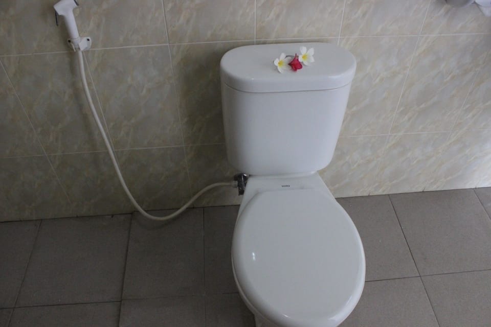 Shower, free toiletries, towels