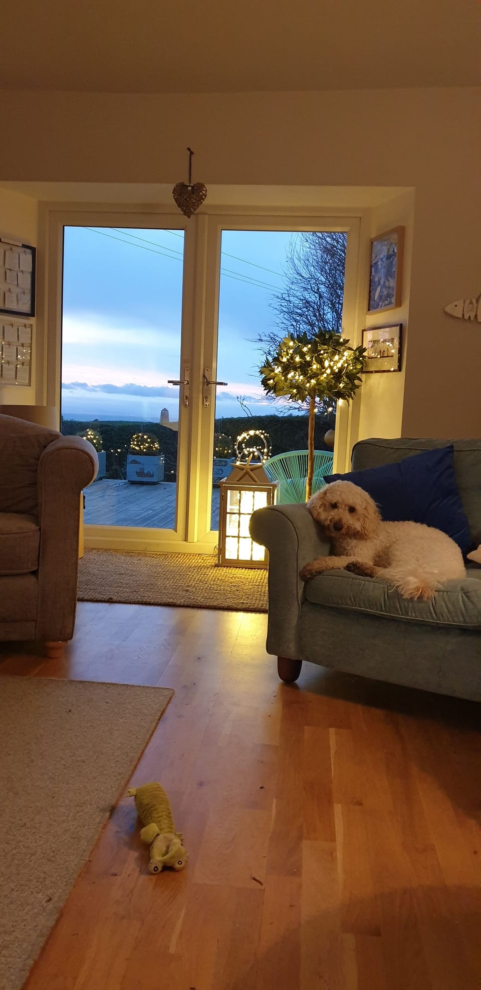 pets love the area, lots of great walks