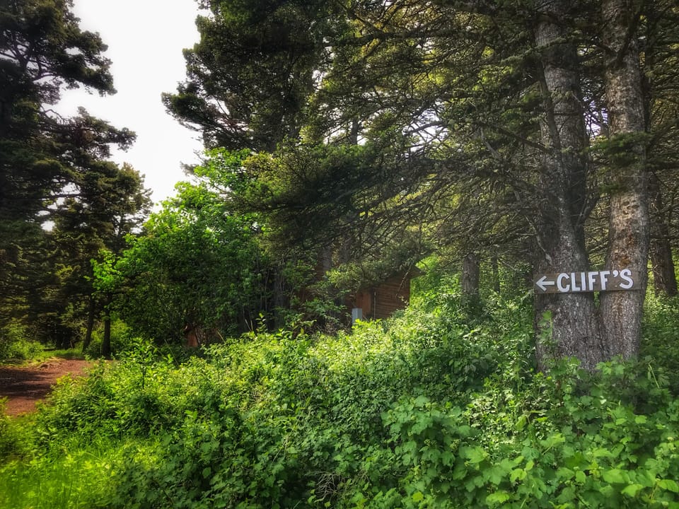 Can you see Cliff's Cabin in the trees? Town is 10 minutes away. 