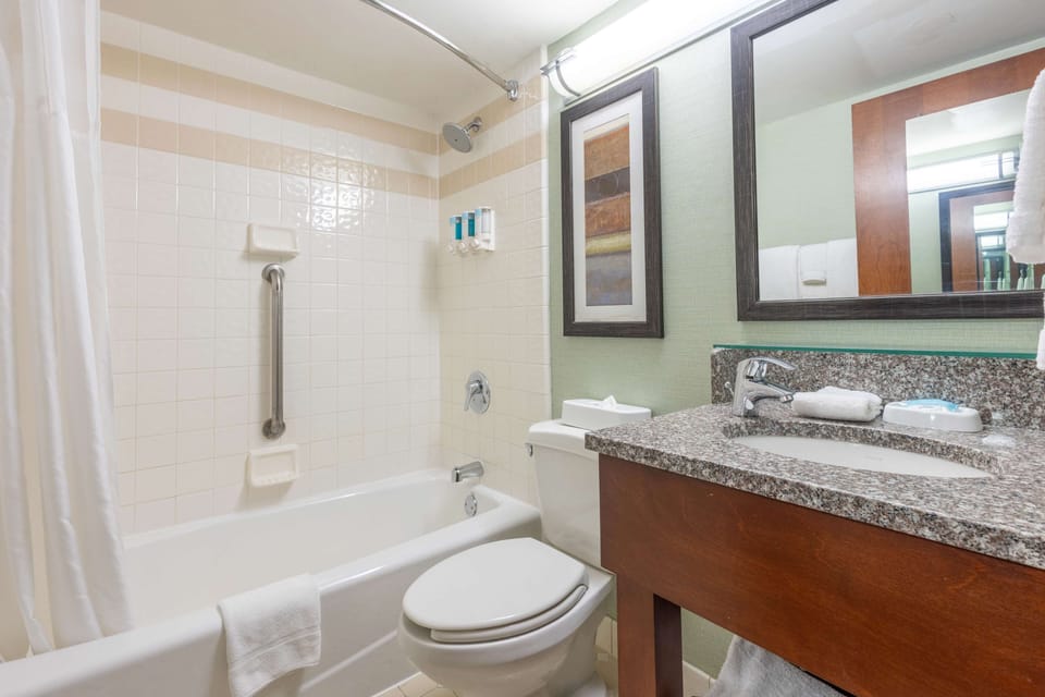 Combined shower/tub, free toiletries, hair dryer, towels
