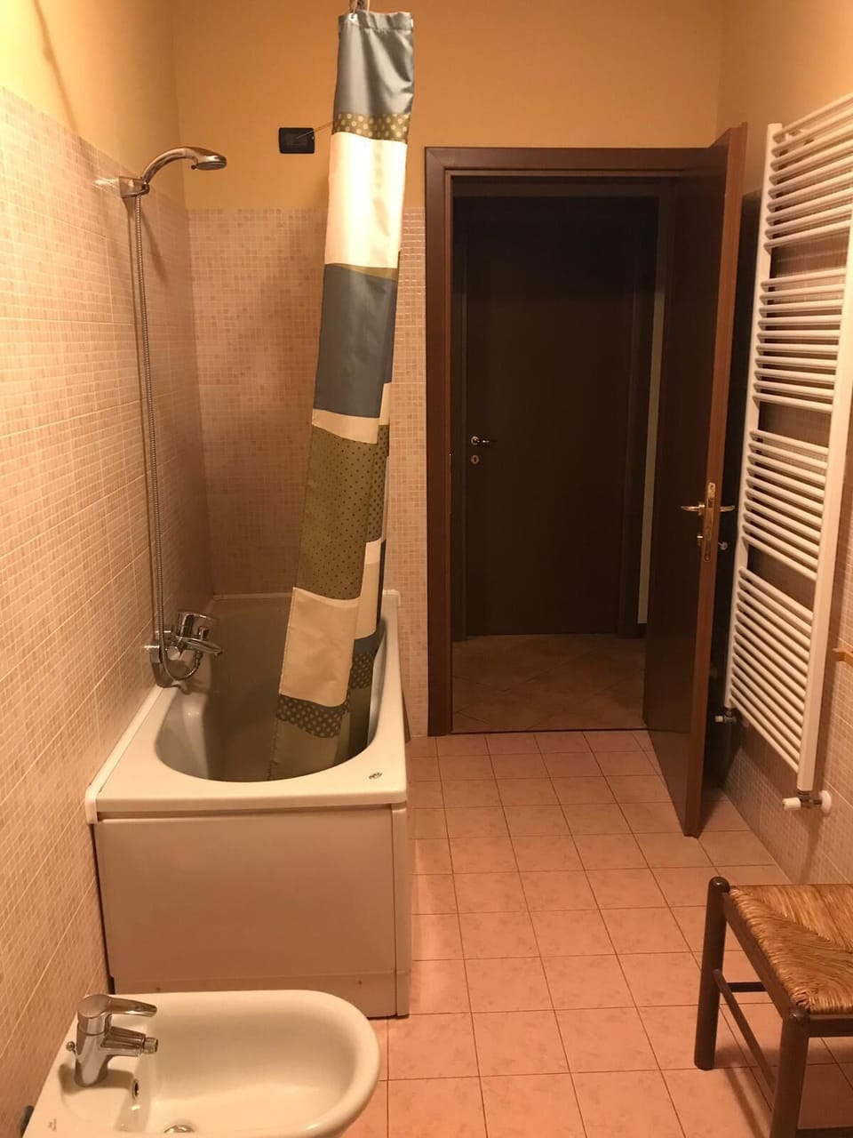 Combined shower/tub, hair dryer, bidet, towels
