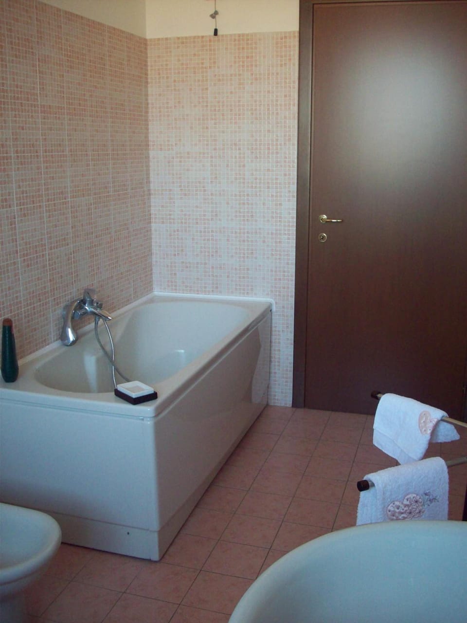Combined shower/tub, hair dryer, bidet, towels
