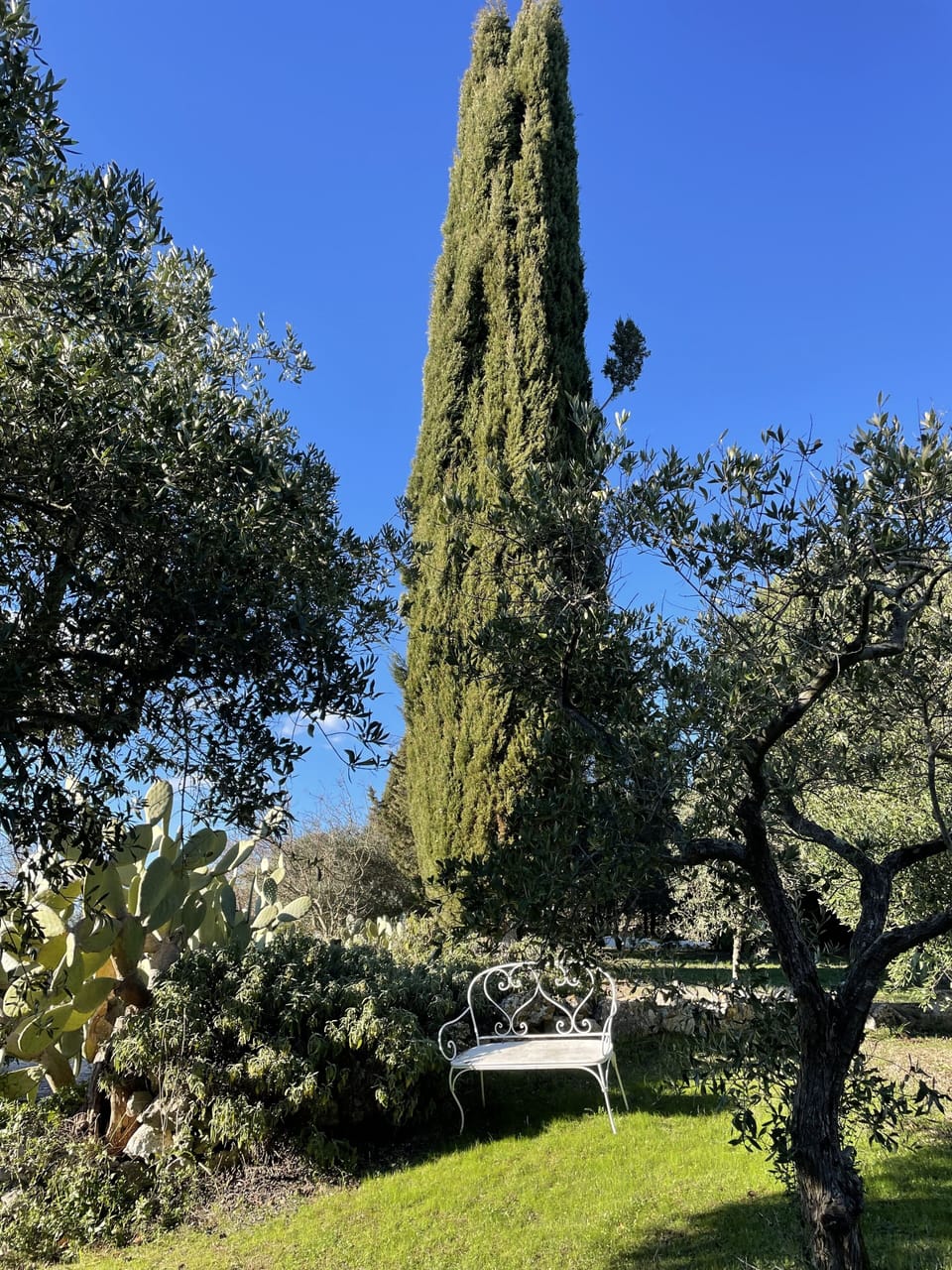 Enjoy a quiet moment.  Read a book. Listen to the birds. Five acres of privacy.