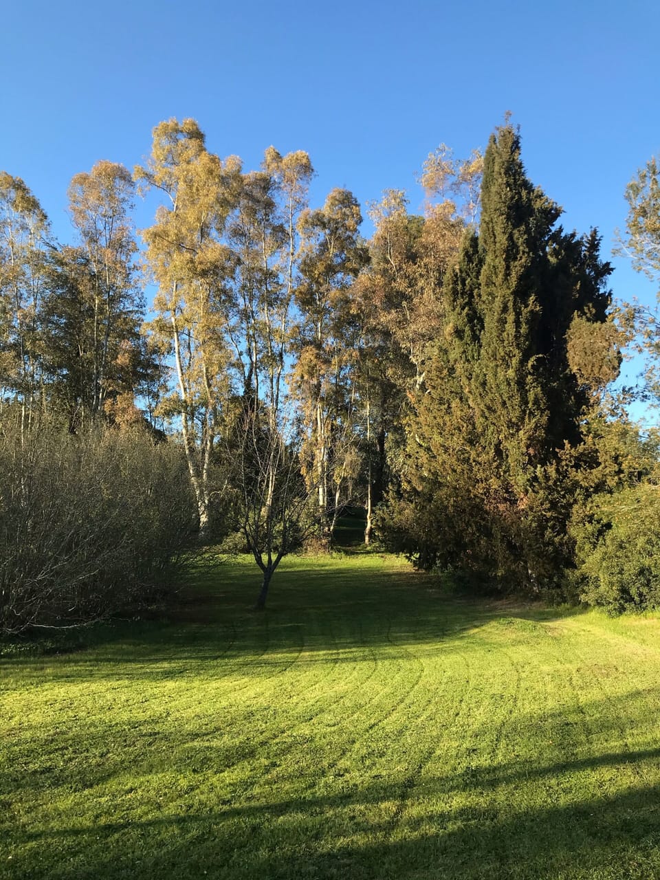 The property's five acres allow for many outdoor activities.  Football, golf…