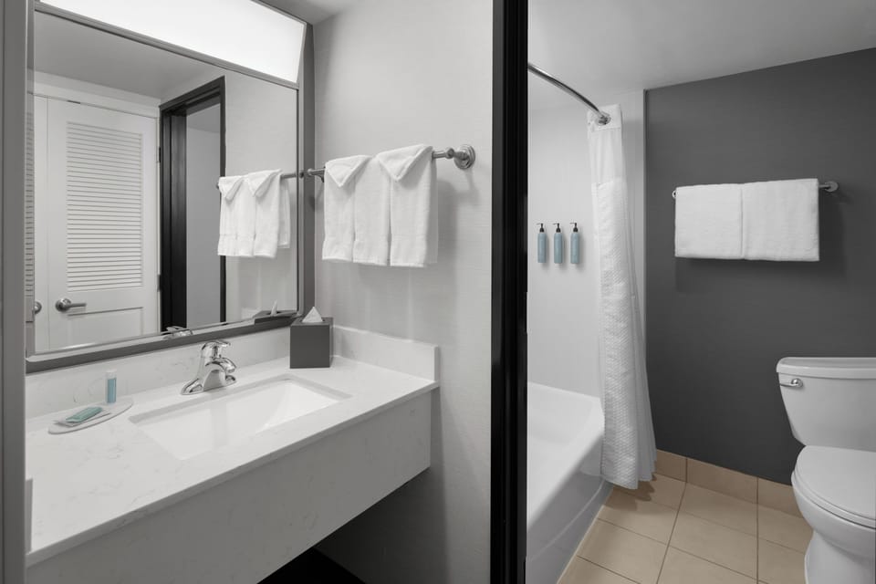 Combined shower/tub, free toiletries, hair dryer, towels