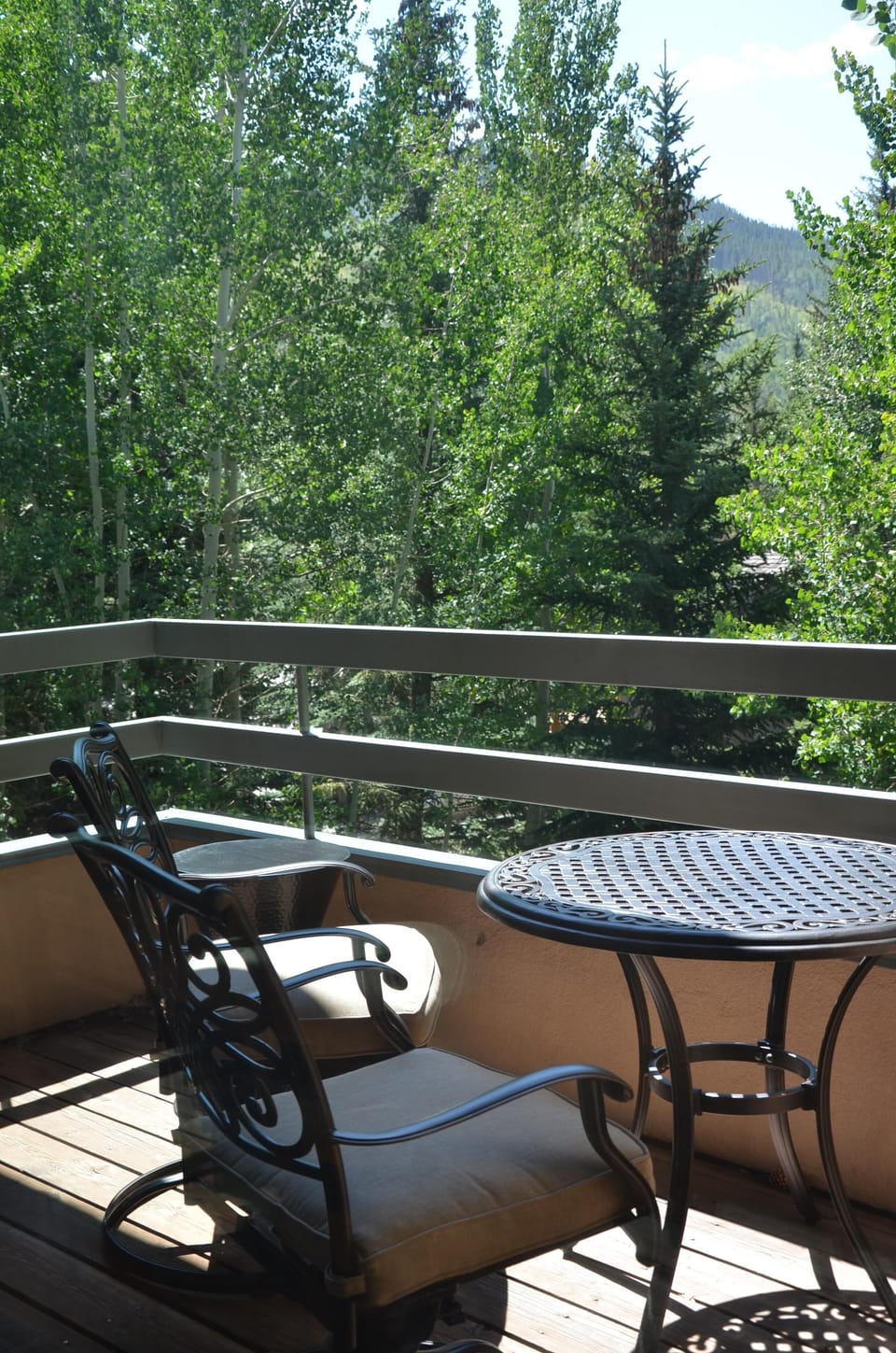 Summer Deck View - Surrounded by Trees and Gore Creek sounds below