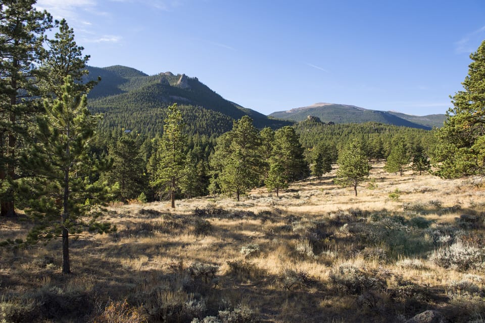 Open meadow from deck