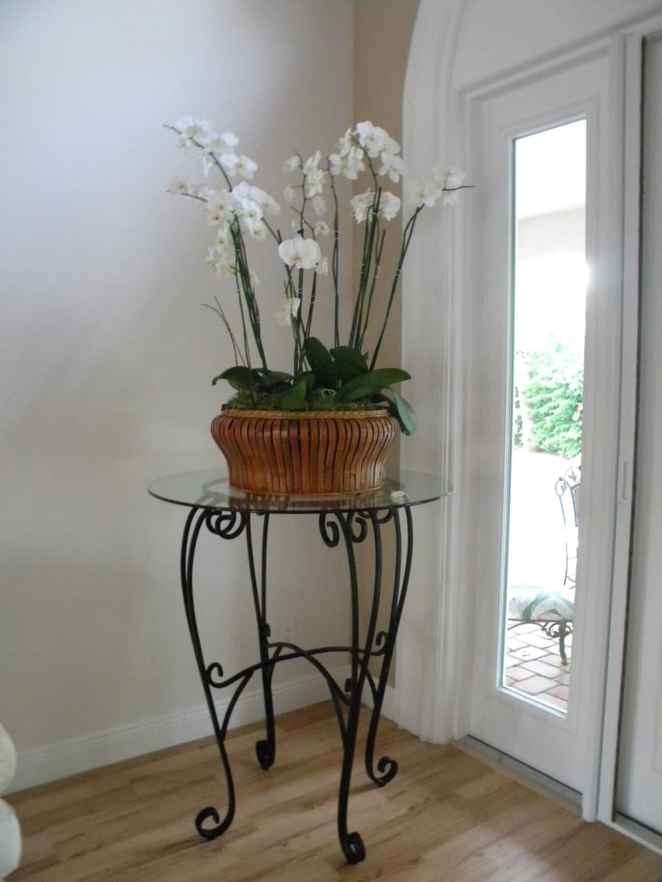 Corner for beautiful orchids