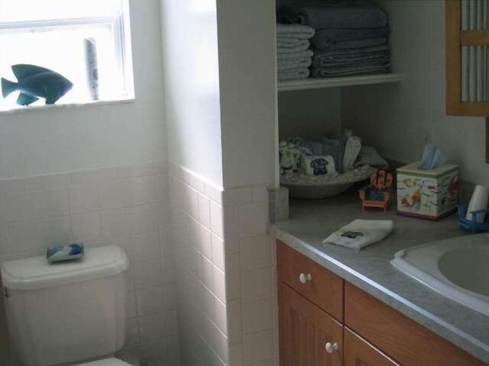 Full bath with walk-in shower.
