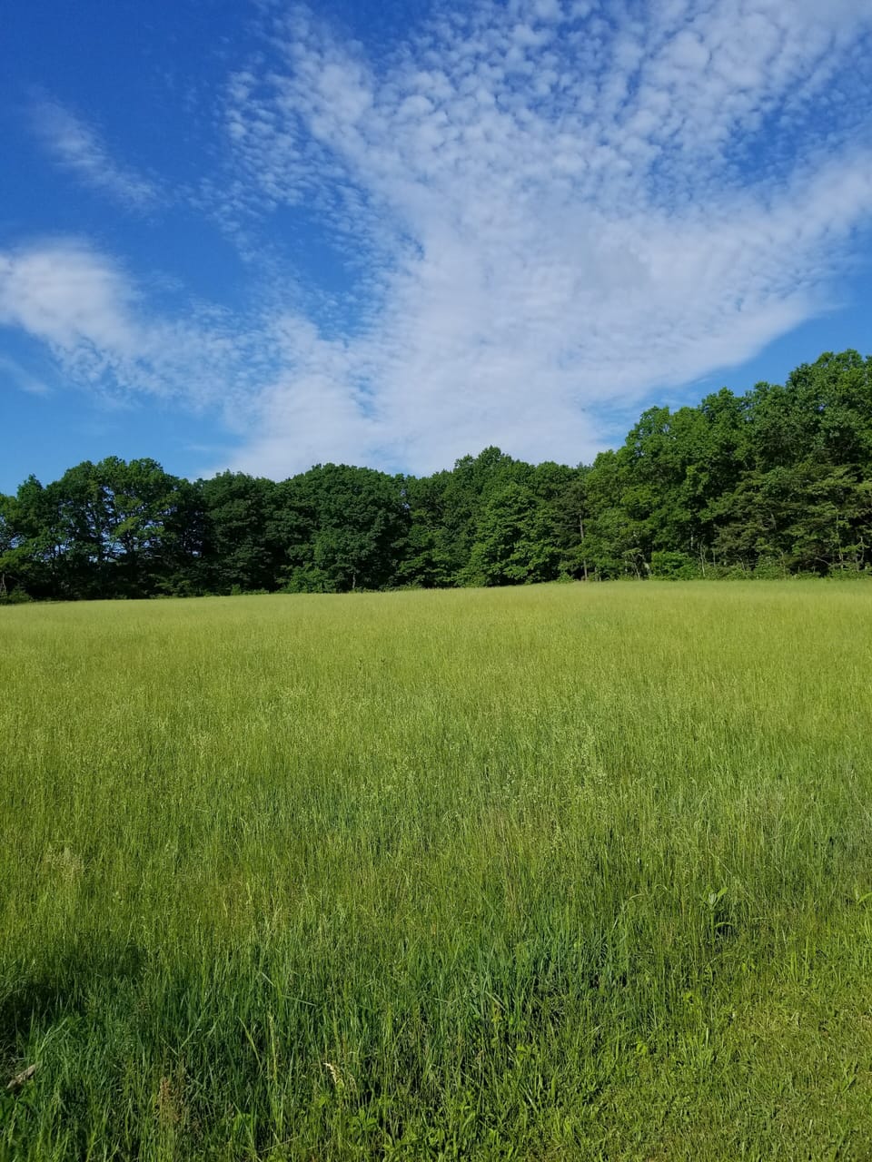 View (and Privacy!)