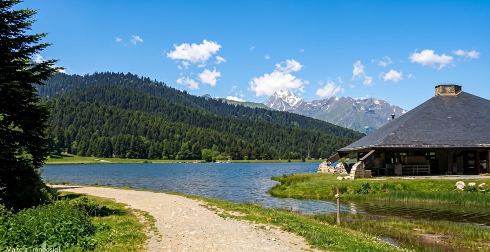Lake view