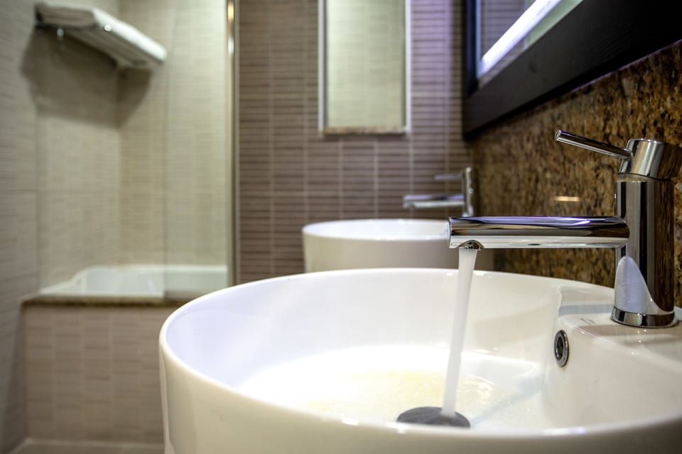 Eco-friendly toiletries, hair dryer, towels