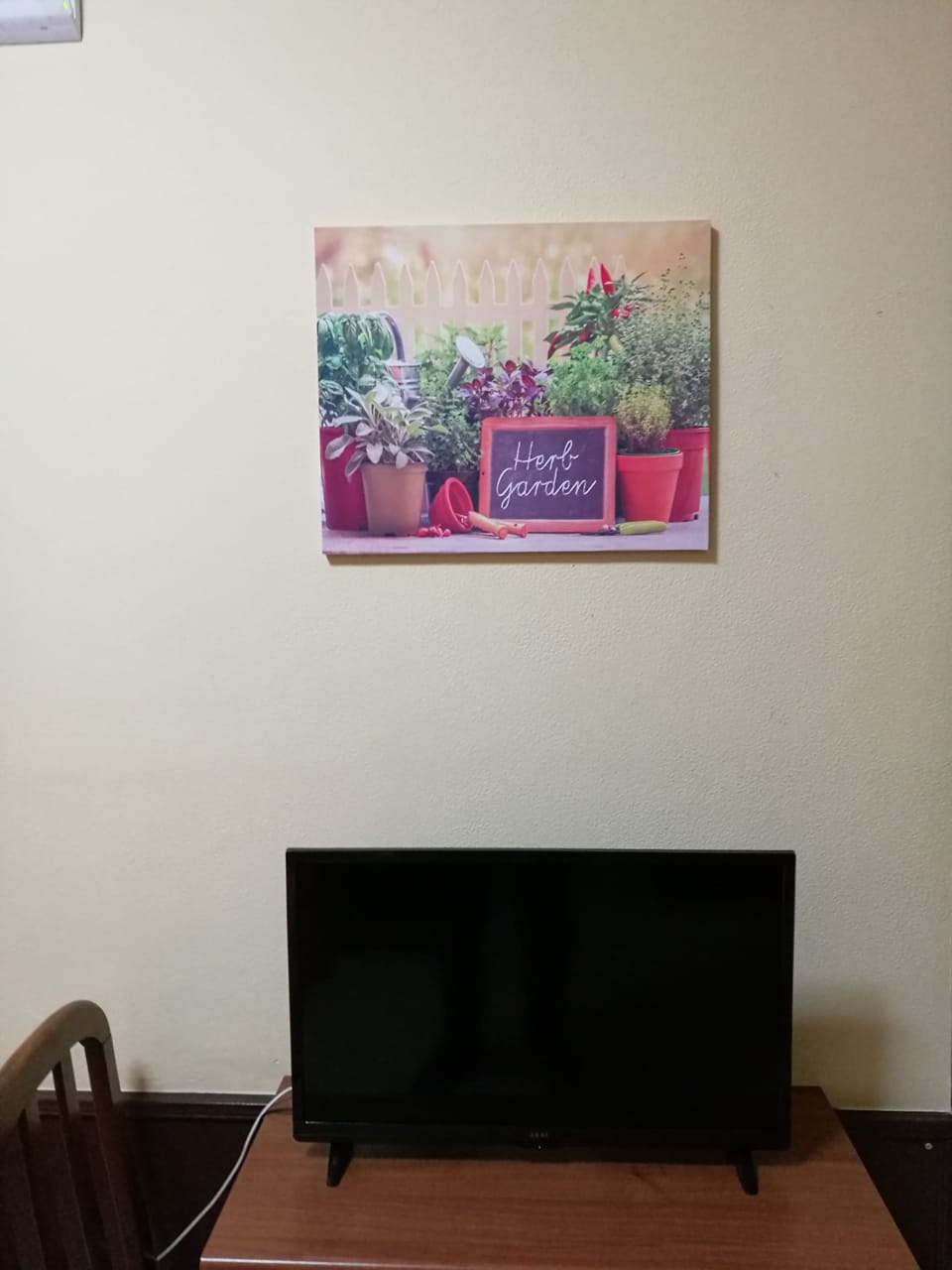 Classic Single Room | Television
