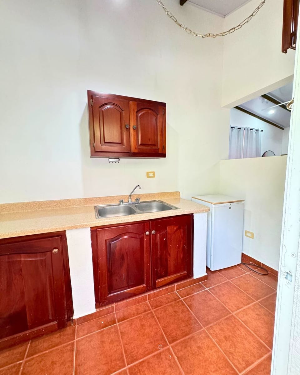 Premium Studio Suite, Kitchenette | Premium bedding, individually decorated, individually furnished