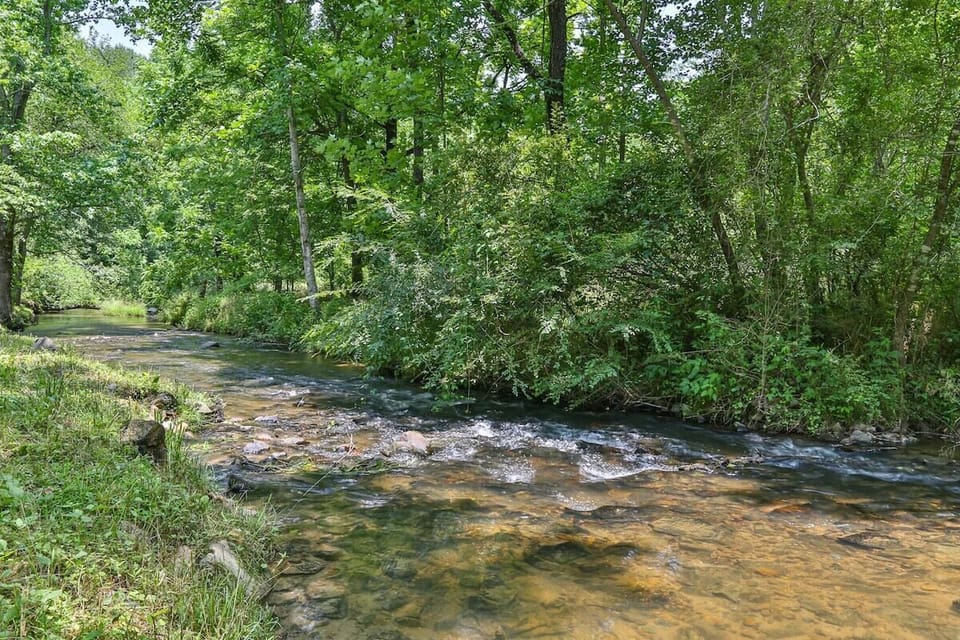 Soothing sounds of the creek