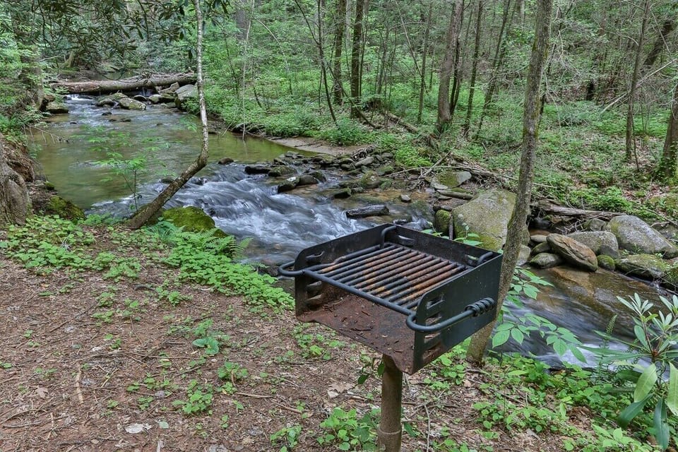 Grill out by the creek