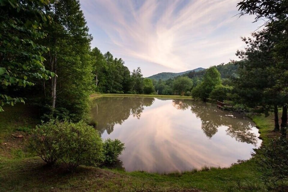 View of the pond from the deck area