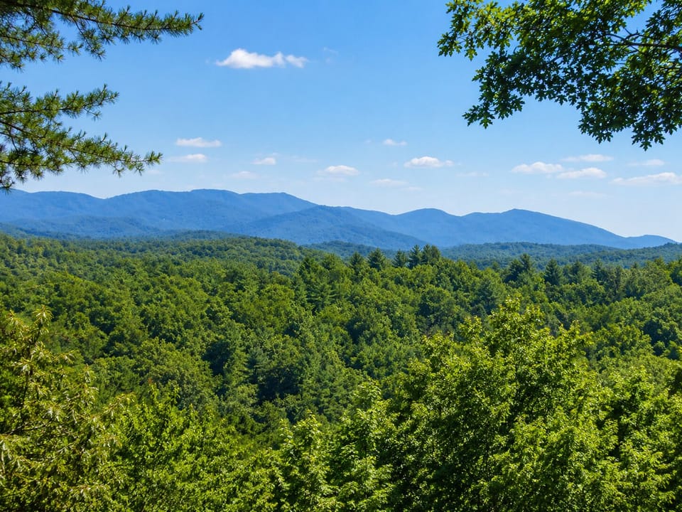 Welcome To North Georgia