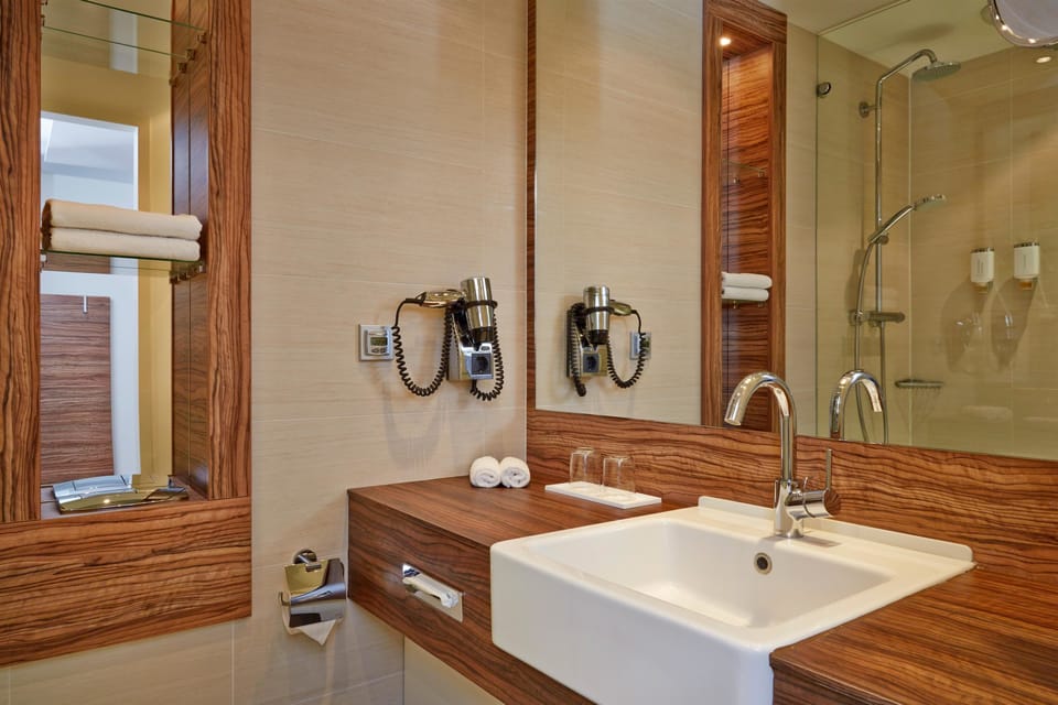 Shower, hair dryer, towels