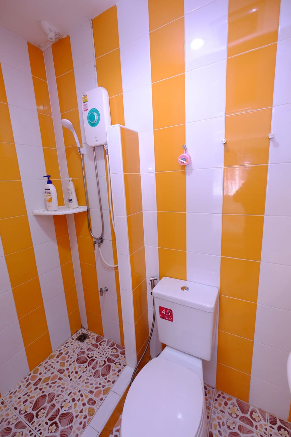 Shower, free toiletries, towels