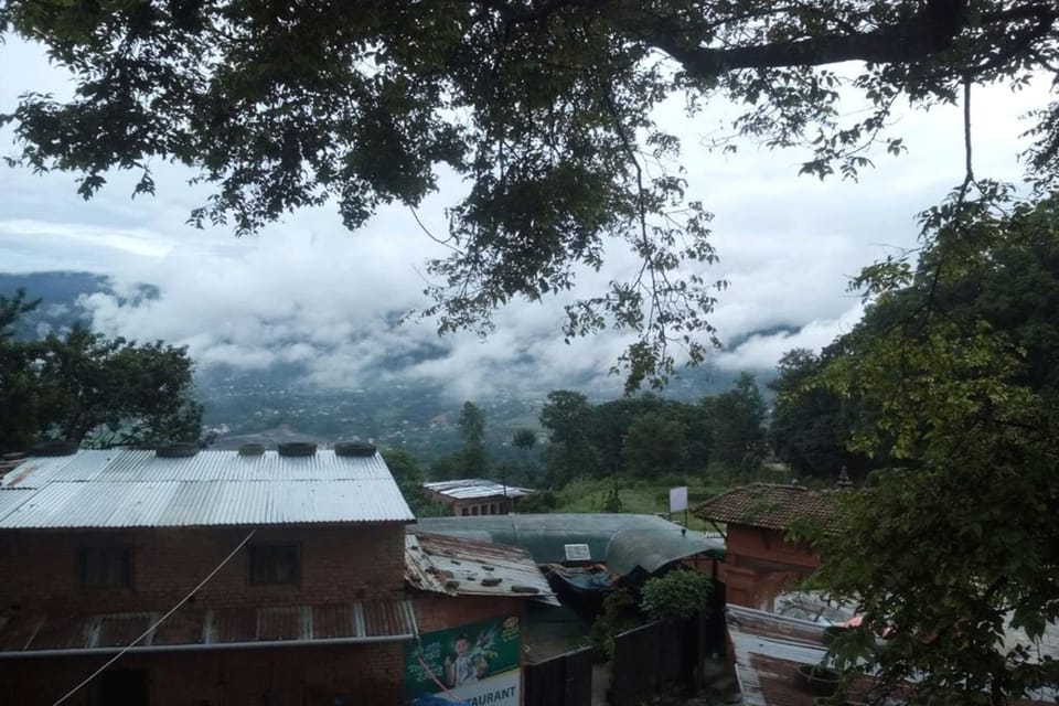 View from property