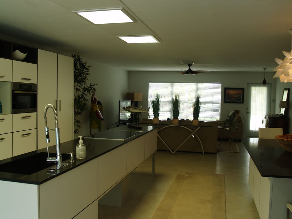 Newly renovated kitchen with high end cabinets