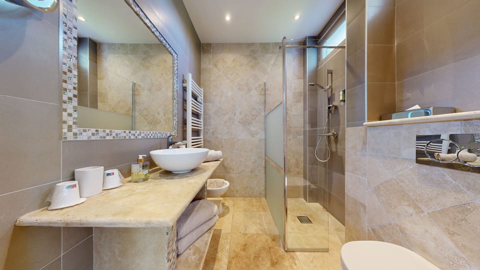Standard Double Room | Bathroom | Free toiletries, hair dryer, towels, toilet paper