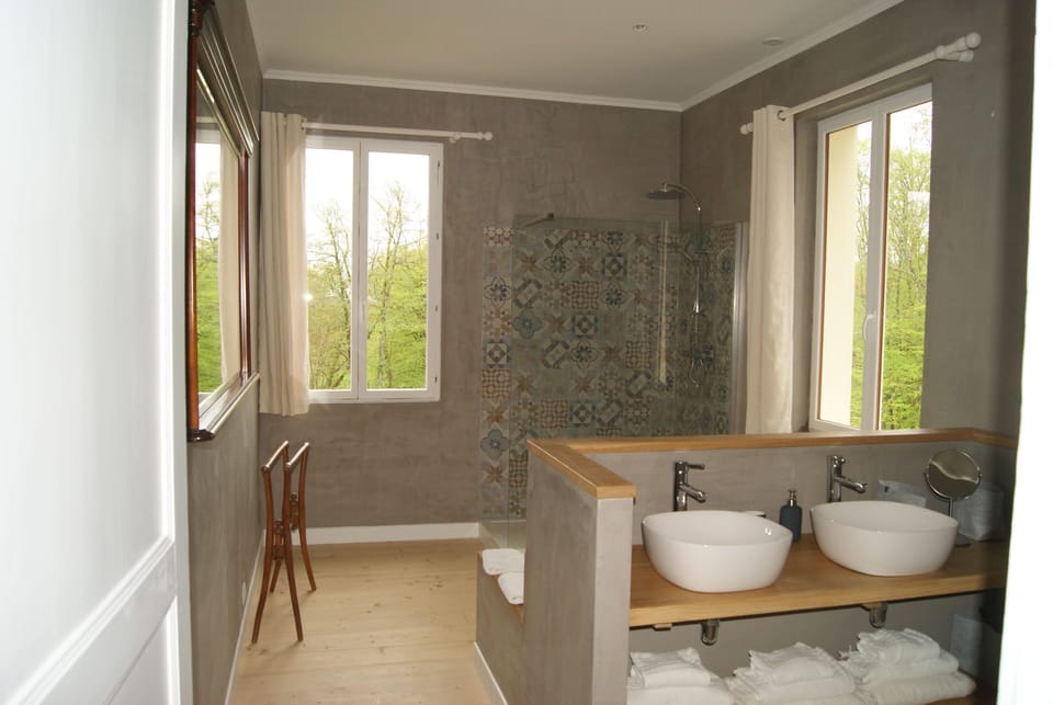 Deluxe Double Room (Suite) | Bathroom | Shower, free toiletries, towels