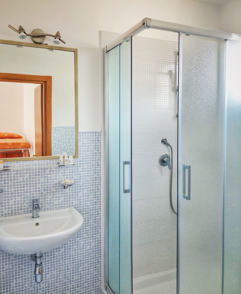 Shower, free toiletries, hair dryer, bidet