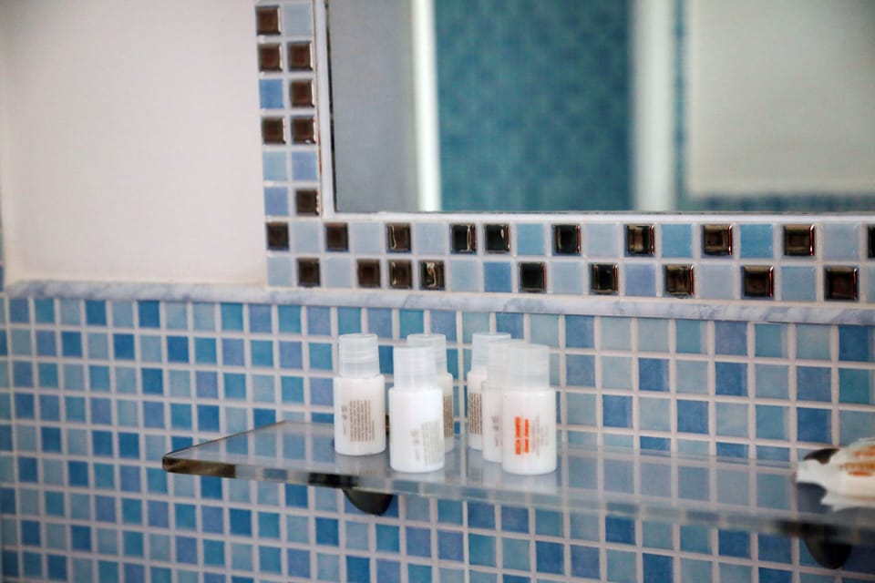 Shower, free toiletries, hair dryer, bidet