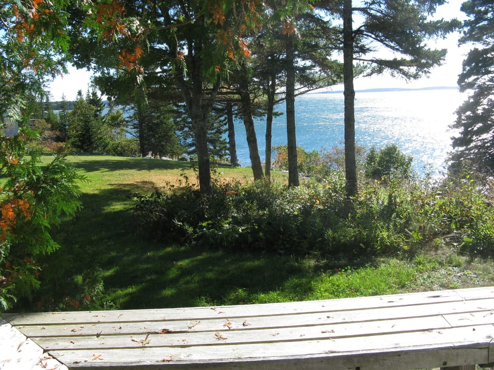 View from deck in September