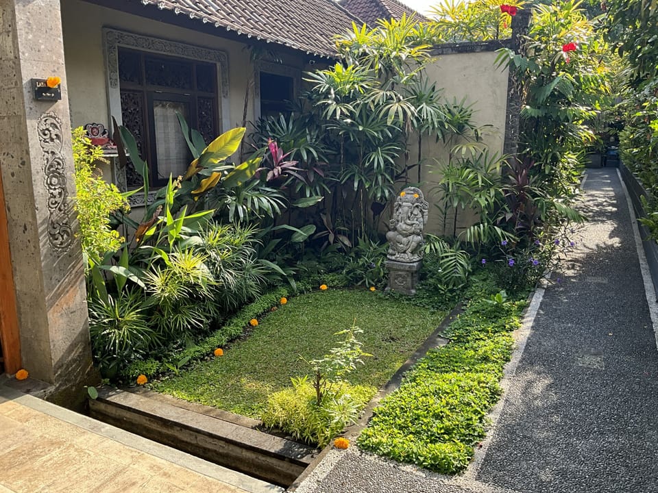 Lush tropical front yard.