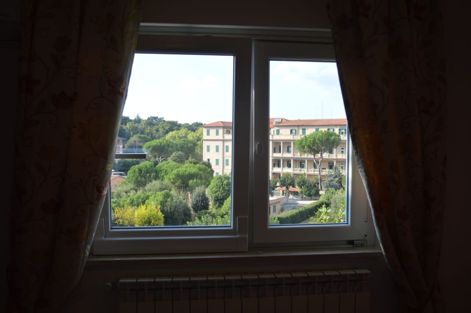 View from bedroom window 
