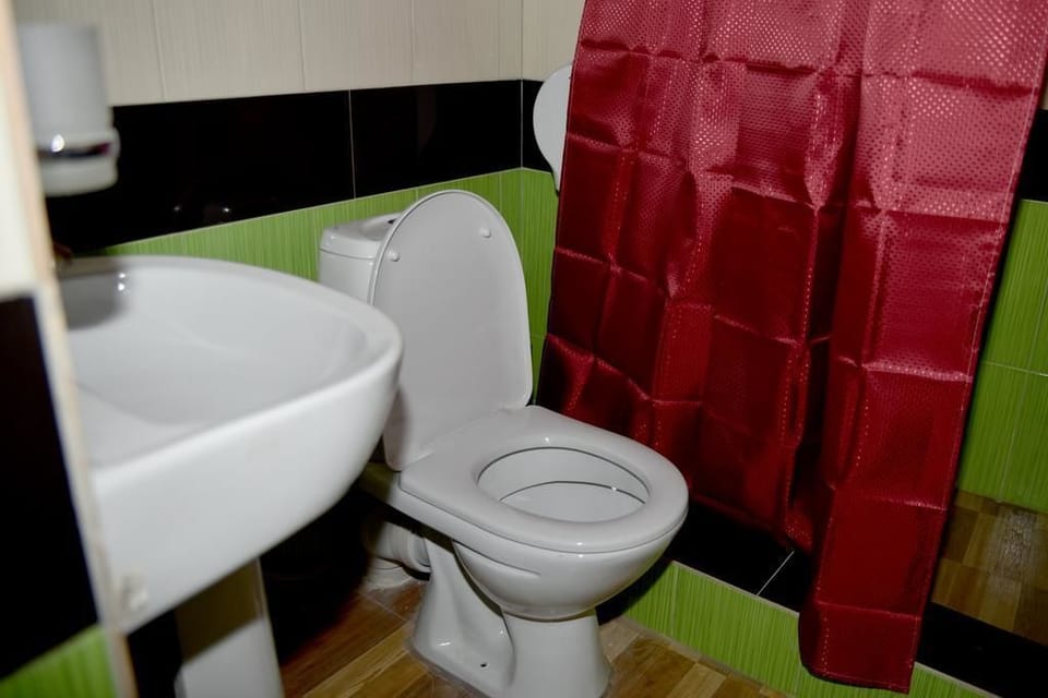 Shower, free toiletries, hair dryer (on request), slippers