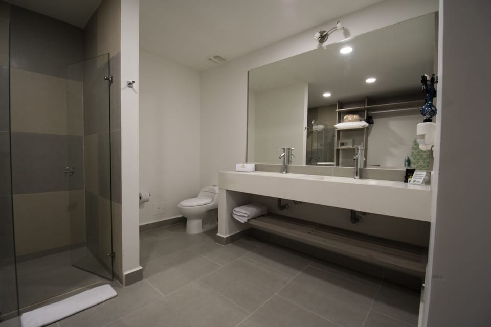 Junior Suite, Kitchen | Bathroom | Shower, rainfall showerhead, free toiletries, hair dryer