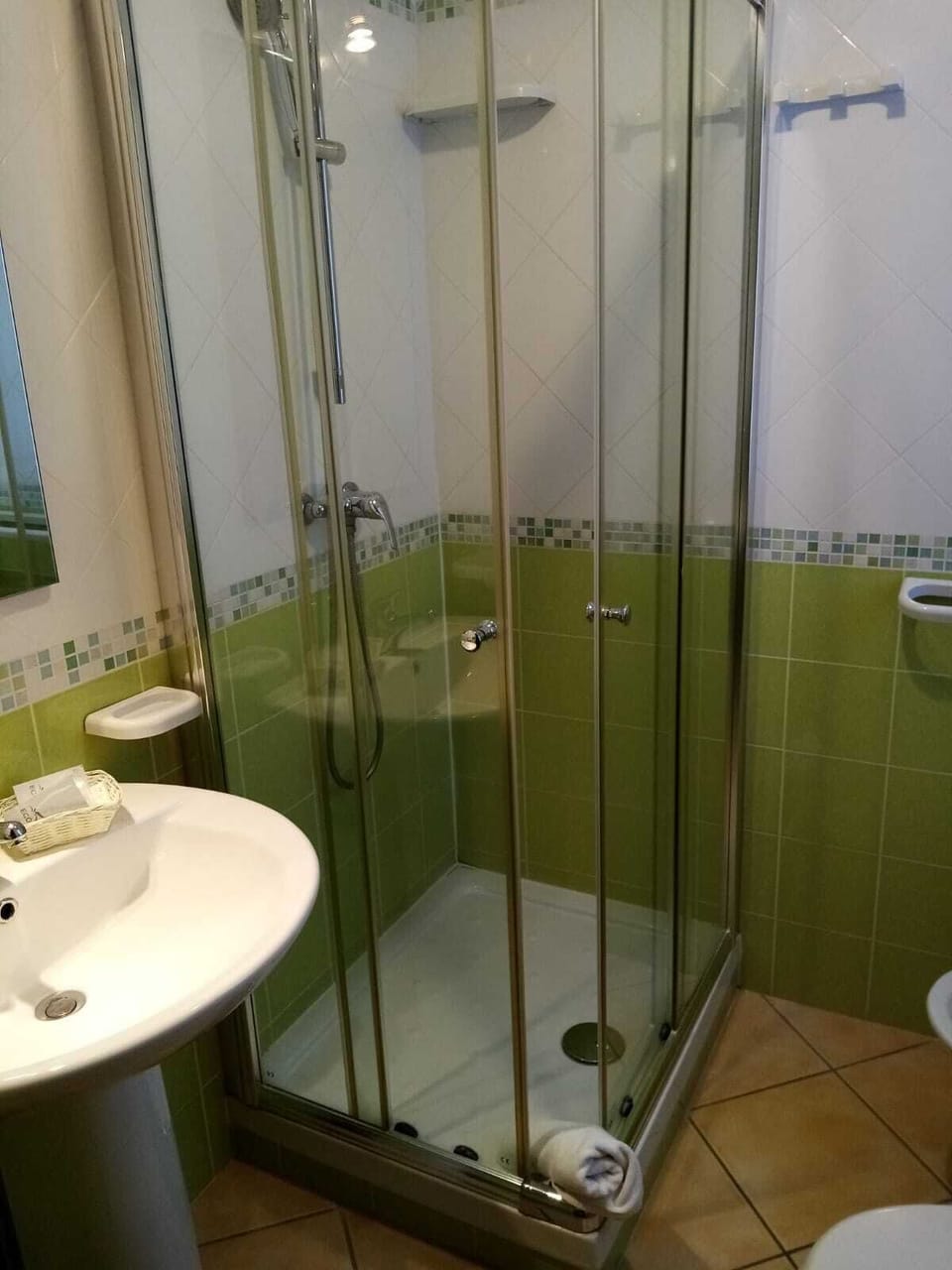 Double Room Single Use | Bathroom | Shower, eco-friendly toiletries, hair dryer, bidet