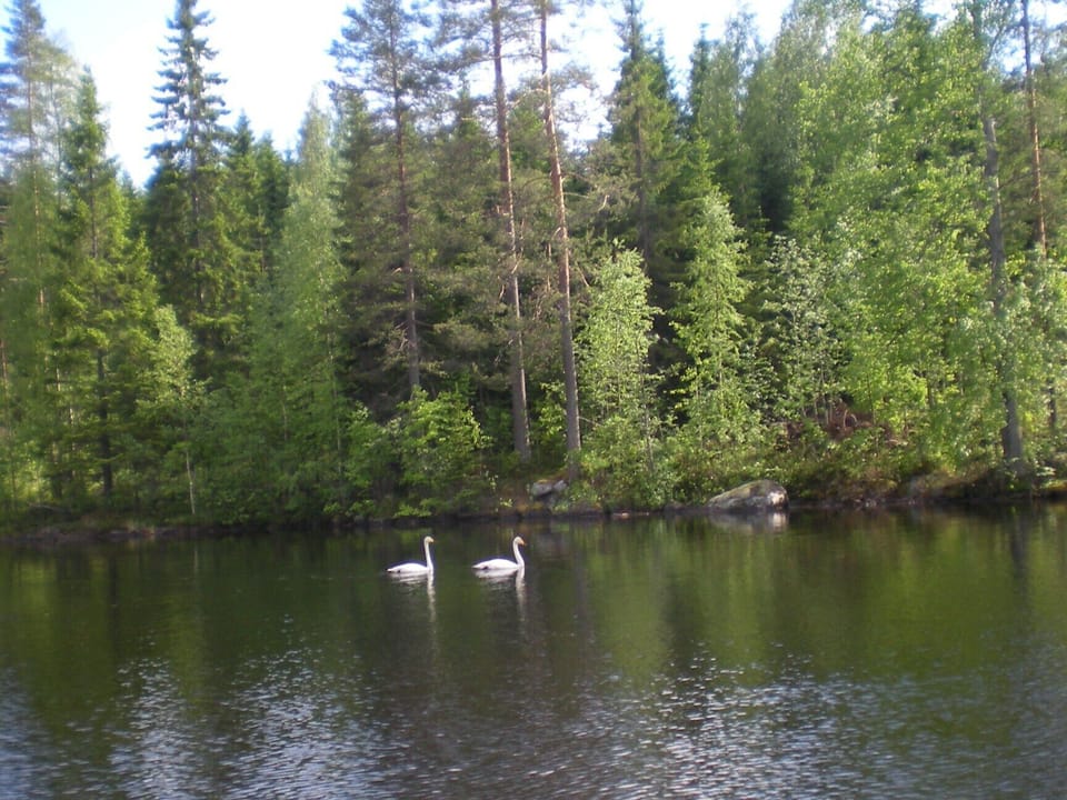 Lake