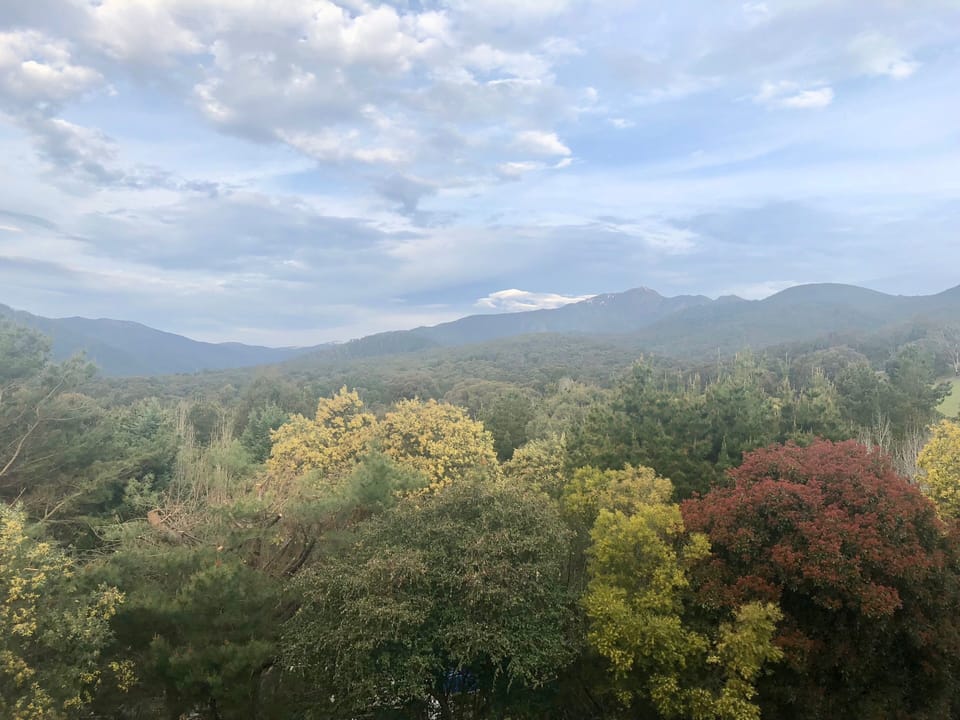 Views of Mount Buller & Mount Stirling
