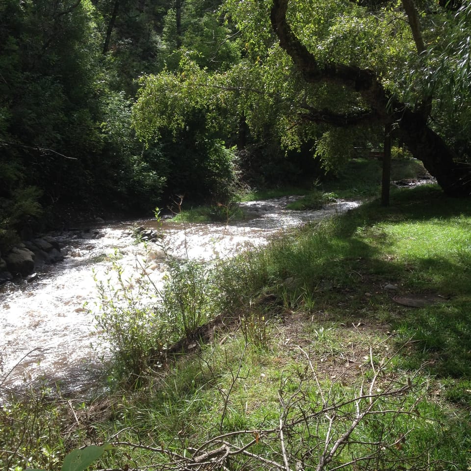 Looking upstream on Riverbank...get your fishing pole!
