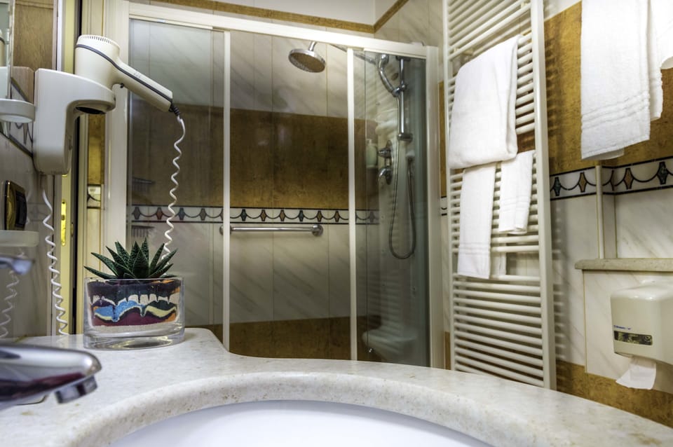 Camera Delxue con Letto King | Bathroom | Shower, free toiletries, hair dryer, bidet