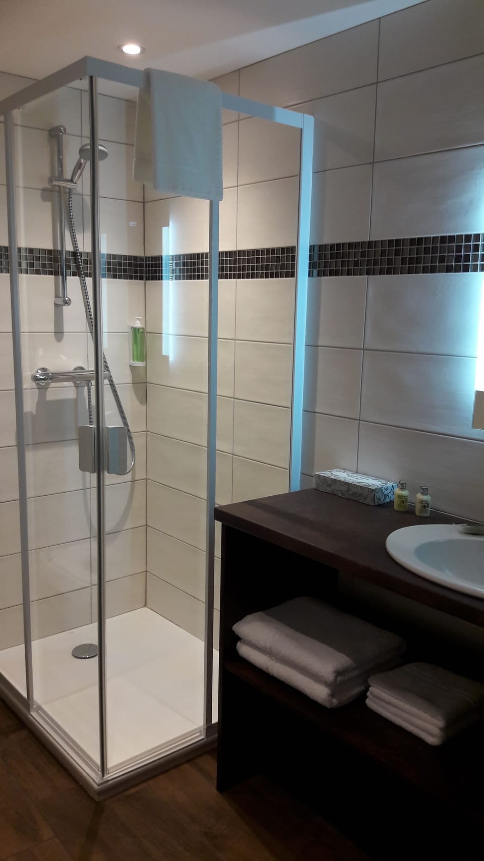 Double or Twin Room | Bathroom | Free toiletries, hair dryer, towels, soap