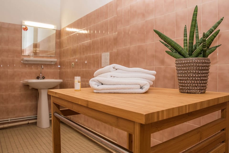 Double Room | Bathroom | Shower, hair dryer, towels, soap