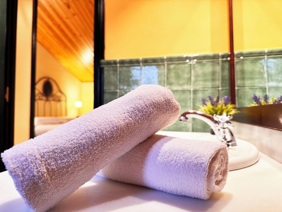 Double Room | Bathroom | Combined shower/tub, free toiletries, hair dryer, towels