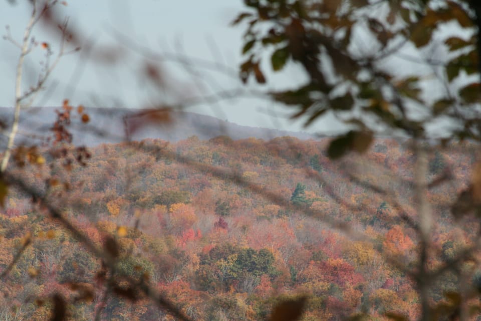 Beautiful fall foliage