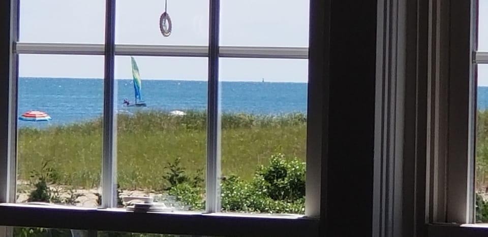 View from Inside the Cottage!!