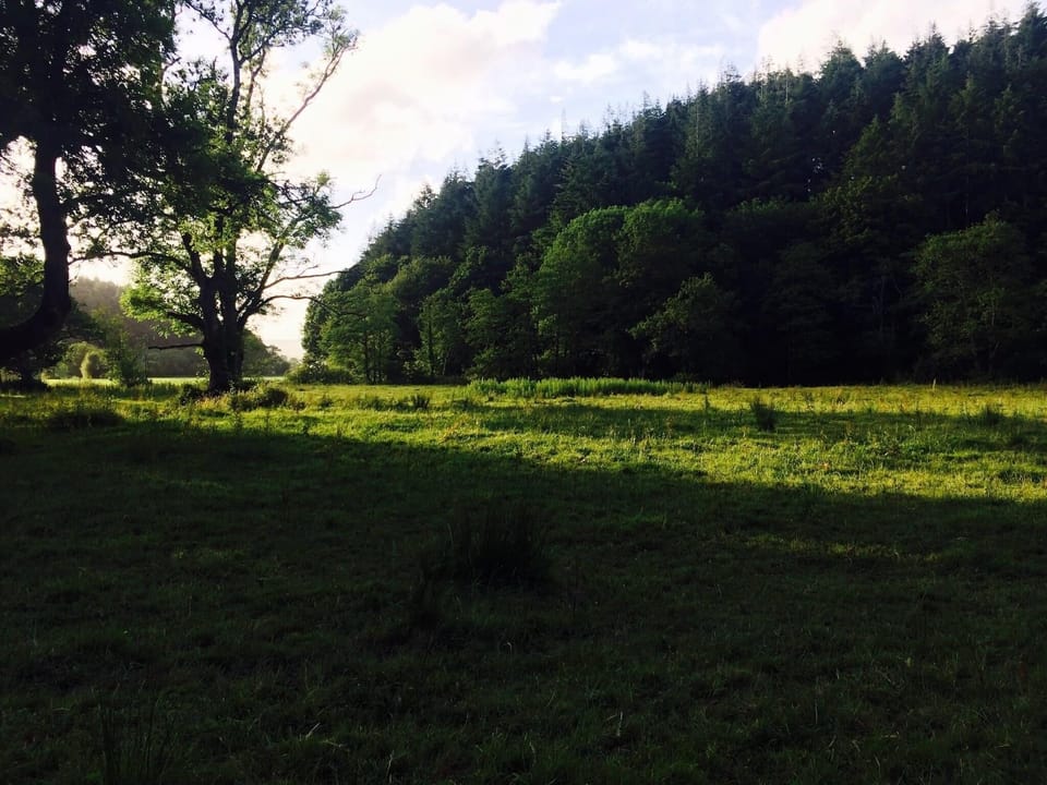Hiking