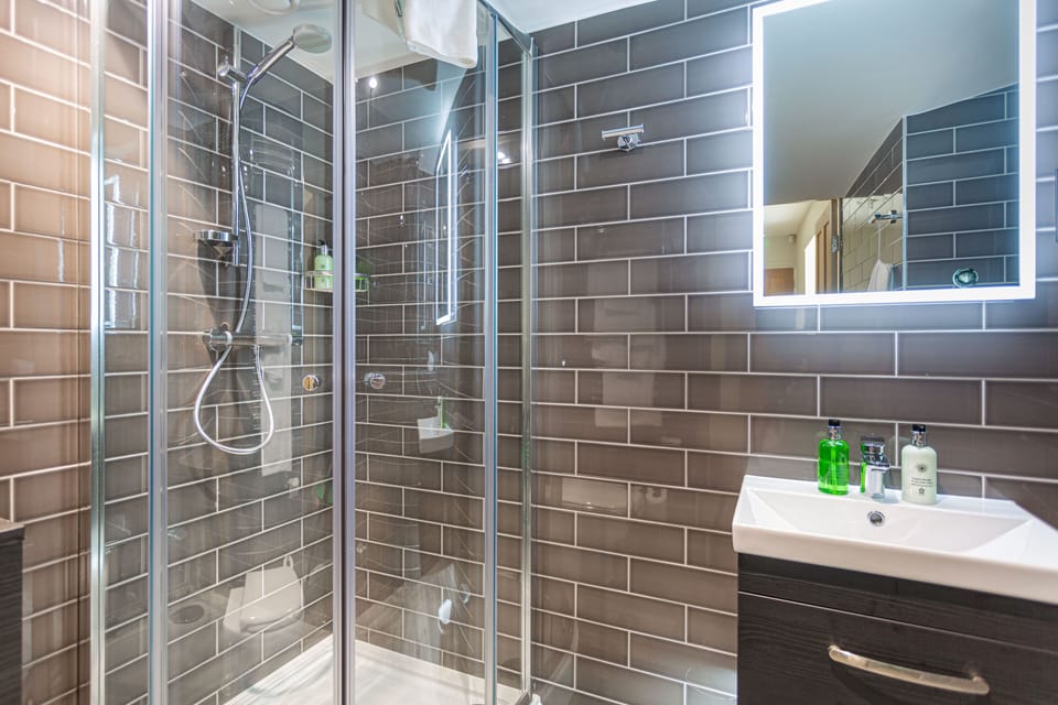 Deluxe Suite | Bathroom | Free toiletries, hair dryer, towels, soap