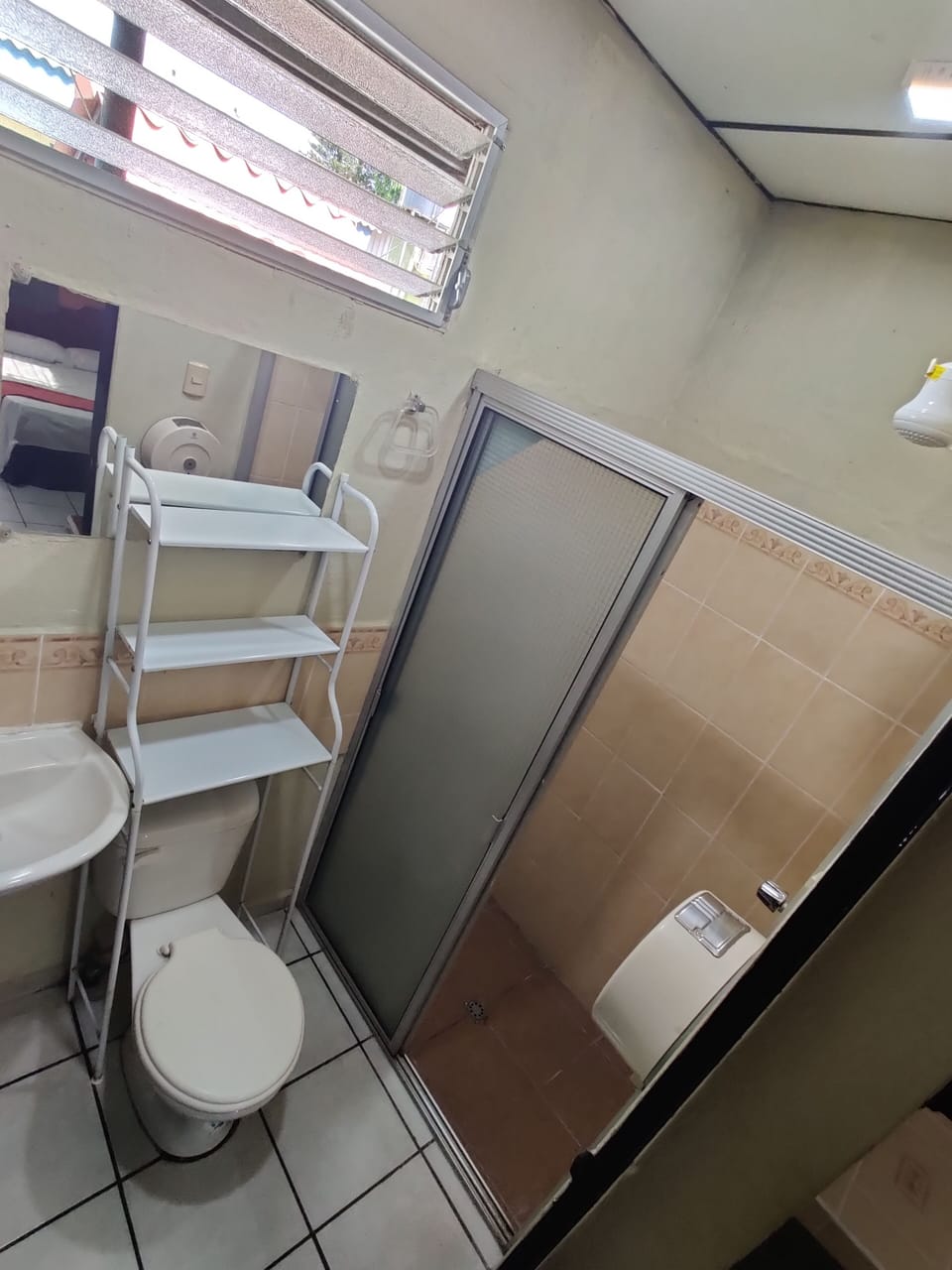 Basic Room | Bathroom | Shower, rainfall showerhead, free toiletries, towels